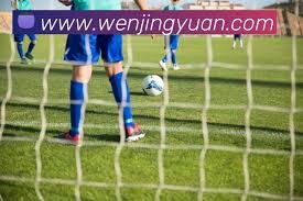 奥利塞谈美丽足球风格的魅力与追求